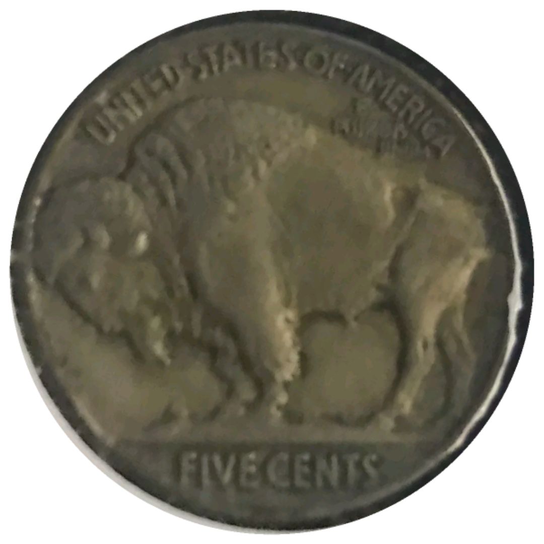 1913-P-T2-Buffalo-Nickel-#2